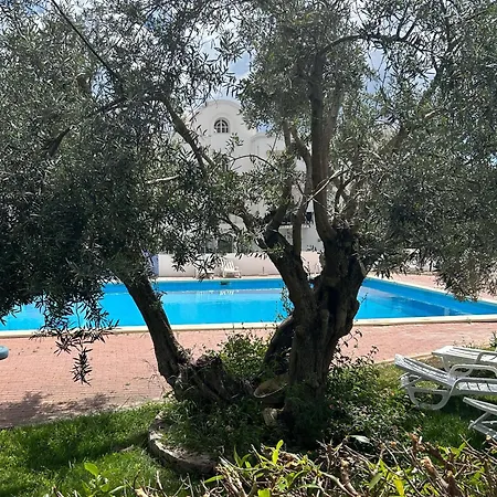 Garden Indigo * تافيرا