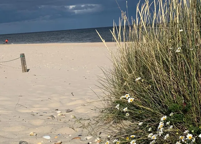 Garden 16 公寓 塔维拉